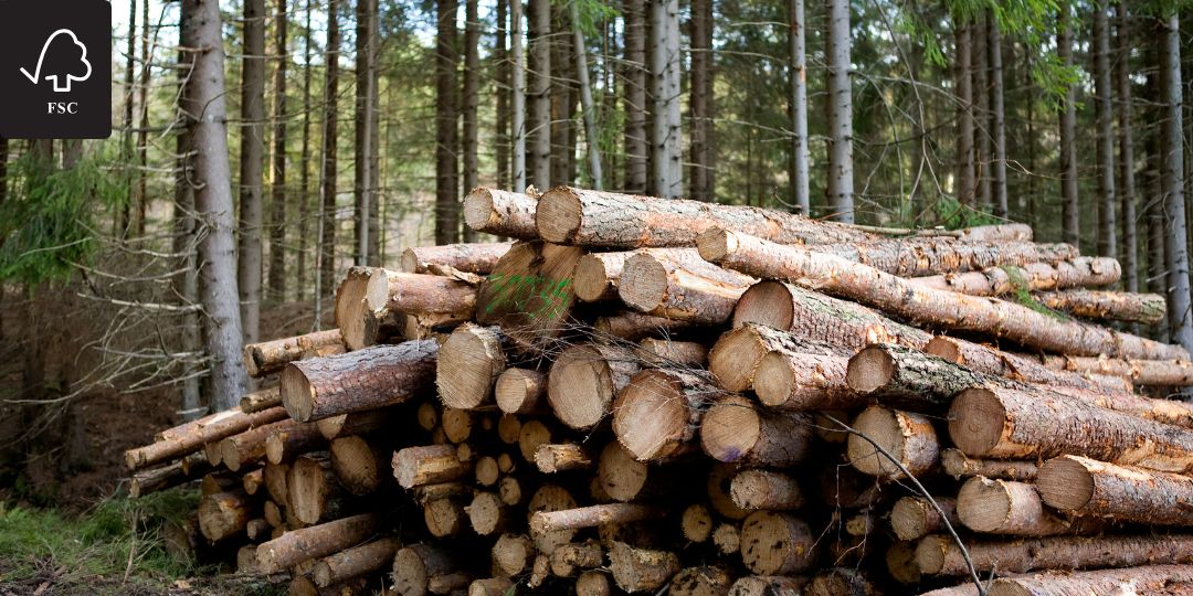 Fenntartható erdőgazdálkodás fsc, pefc tanusítványok