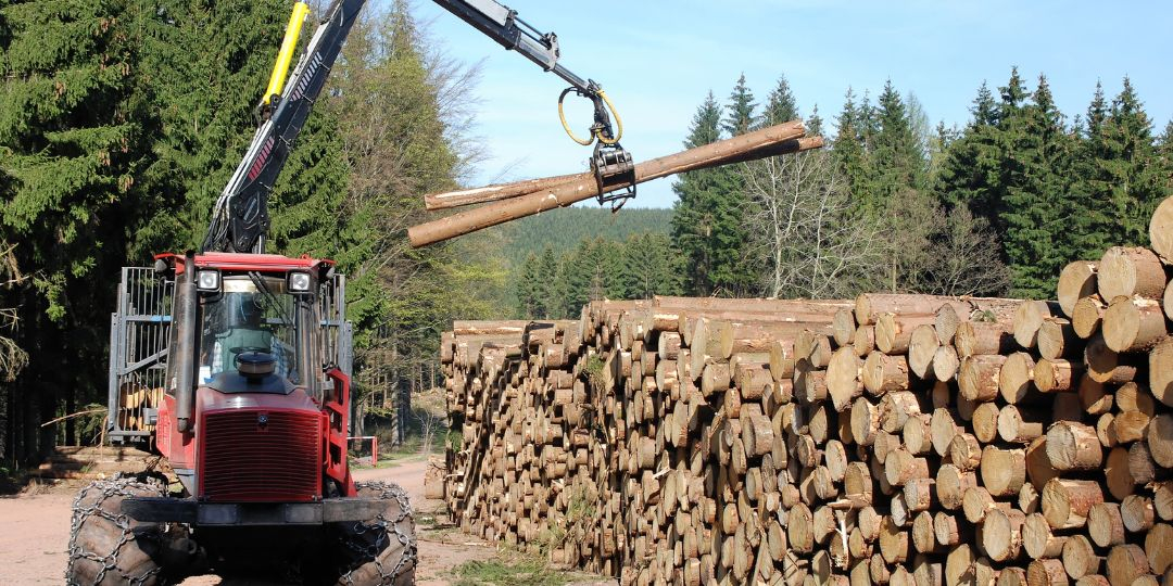 Tanusítványok felelős erdőgazdálkodás fsc, pefc tanusitvanyok fsc pefc